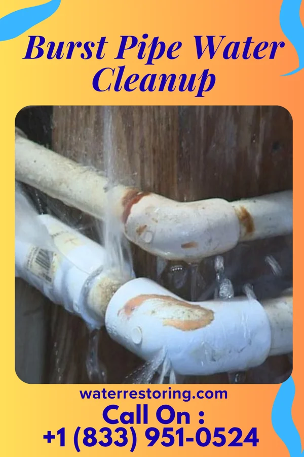 Burst Pipe Water Cleanup in Harpers Ferry, WV