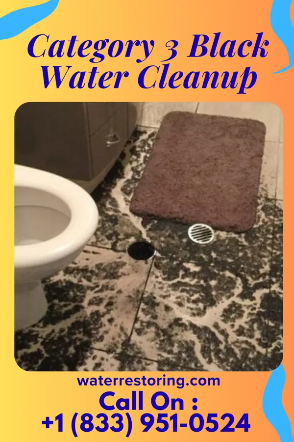 Category 3 Black Water Cleanup in Harpers Ferry, WV