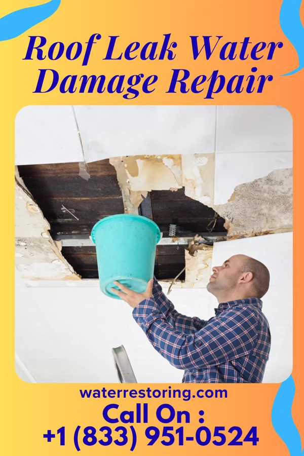 Roof Leak Water Damage Repair in Harpers Ferry, WV