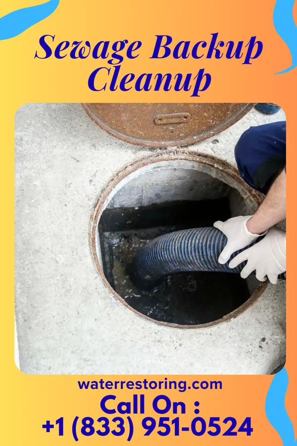 Sewage Backup Cleanup in Harpers Ferry, WV