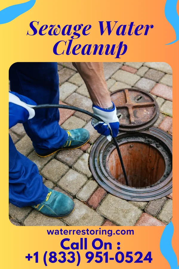 Sewage Water Cleanup in Harpers Ferry, WV